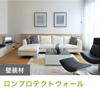 ロンプロテクトウォール