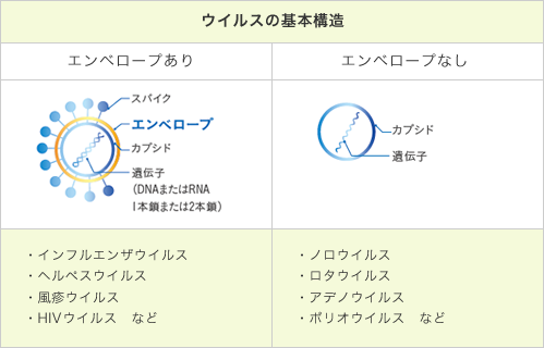 図1 ウイルスの基本構造