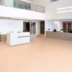 Spacious empty reception hall in modern building